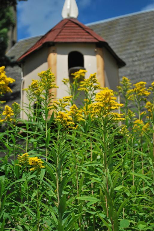 Camping Les Tournesols Sillé-le-Guillaume 외부 사진