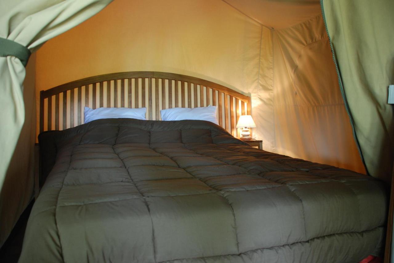 Camping Les Tournesols Sillé-le-Guillaume 외부 사진