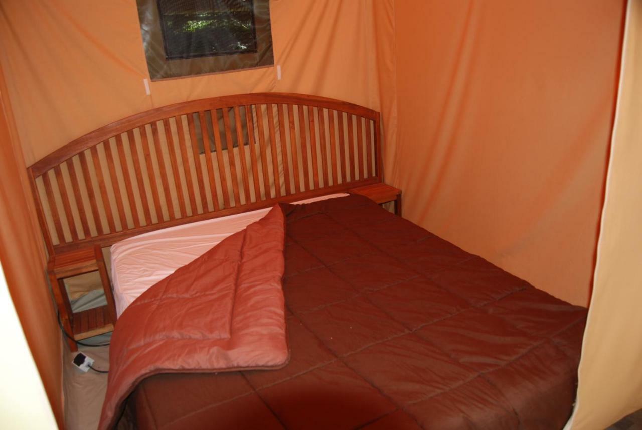 Camping Les Tournesols Sillé-le-Guillaume 외부 사진
