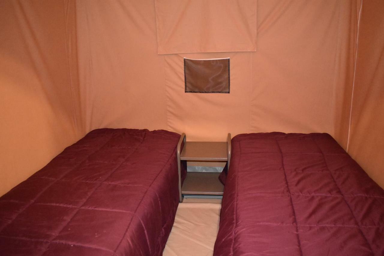 Camping Les Tournesols Sillé-le-Guillaume 외부 사진